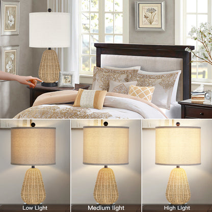 Touch Control Table Lamps with USB Ports and LED Bulb